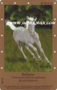 Bellisimo de l'�dition �dition de Base