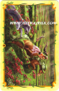 Le Labyrinthe des Fleurs de l'�dition Fleurs du Soleil