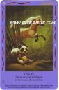 Cha Ye de l'�dition Amis Magiques