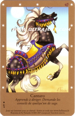 Cantaro de l'�dition �dition de Base