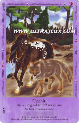Cochiti de l'�dition Lueurs Bor�ales