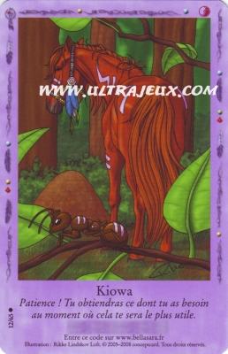 Kiowa de l'�dition Lueurs Bor�ales
