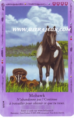 Mohawk de l'�dition Lueurs Bor�ales