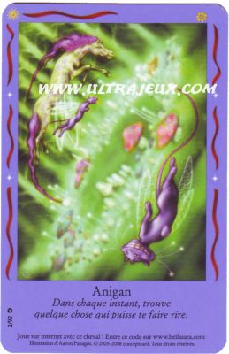Anigan de l'�dition Amis Magiques