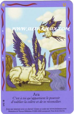 Ara de l'�dition Amis Magiques