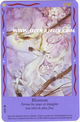 Blossom de l'�dition Amis Magiques
