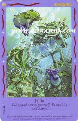 Jaida de l'�dition Magical Friends