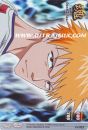 Ichigo Kurosaki de l'�dition S�rie 1