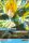 Vegeta de l'�dition S�rie Goku
