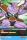 Ginyu de l'�dition S�rie Goku