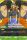 Cauchemar Technologique de l'�dition S�rie Goku