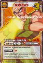 Tenshinhan de l'�dition S�rie 9