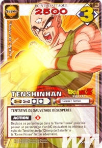 Tenshinhan de l'�dition S�rie 2