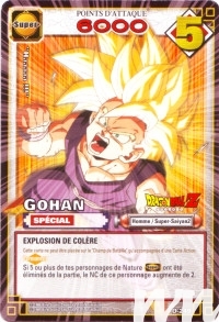 Gohan de l'�dition S�rie 2
