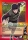 Genma Shiranui de l'�dition S�rie 5