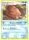 Cochignon de l'�dition Diamant et Perle : Eveil des L�gendes