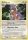 Gabite de l'�dition Diamond & Pearl : Mysterious Treasures