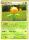 Sunflora de l'�dition HeartGold SoulSilver