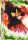Ho-oh Legend (top) de l'�dition HeartGold SoulSilver