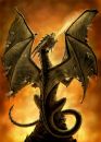 Prot�ges Cartes Format JAP  Dragon De Feu
