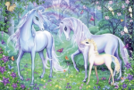 Chevaux - Equitation Schmidt Au Milieu Des Licornes