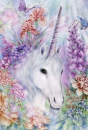 Chevaux - Equitation Schmidt Licorne