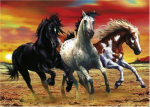 Chevaux - Equitation Schmidt Mustangs