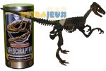 Dino Case Dino Horizons Squelette G�ant De 40 Cm - V�lociraptor