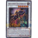 Cartes Sp�ciales Yu-Gi-Oh! Arachn�e Souterraine