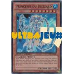 Cartes Sp�ciales Yu-Gi-Oh! Ct09 - Princesse Du Blizzard