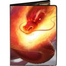 Portfolios  Illustr� (10 Pages De 9 Cases)  - Max Protection - Dragon Inferno