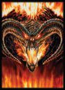 Portfolios  Portfolio Illustr� (10 Pages De 9 Cases)  - Max Protection - Balrog