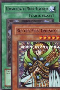 Lots de Produits Paquet Du Champion 7- Lot De 10 Cartes Dont 2 Rares