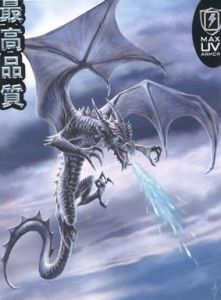 Boites de Rangement Swooping Dragon