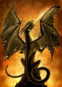 Prot�ges Cartes Format JAP Neo Sleeves - Dragon De Feu