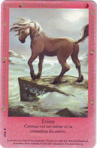 Cartes Sp�ciales Erinn - Carte Promo 2009