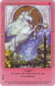 Cartes Sp�ciales Lugh - Carte Promo 2009