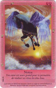 Cartes Sp�ciales Notos - Carte Promo 2009