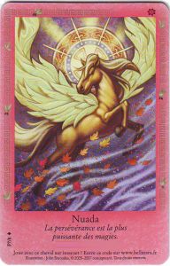Produits Spéciaux Nuada - Carte Promo 2009