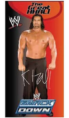 Produit D�riv� Drap De Plage Wwe