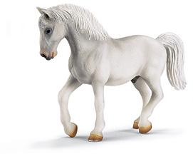 Chevaux - Equitation Etalon Lipizzan