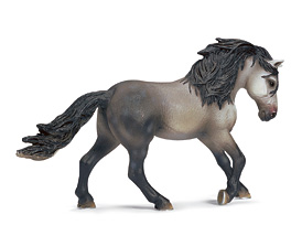 Chevaux - Equitation Etalon Andalou