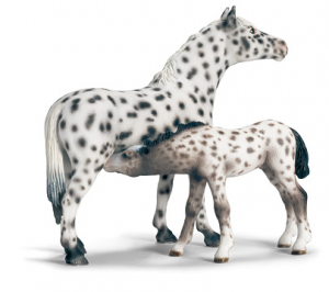 Chevaux - Equitation Poulain Knabstrupper, T�tant