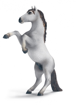 Chevaux - Equitation Mustang Blanc Se Cabrant