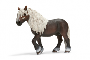 Chevaux - Equitation �talon For�t Noire