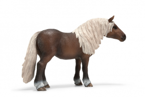 Chevaux - Equitation Jument For�t Noire