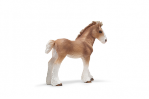 Chevaux - Equitation Poulain Clydesdale