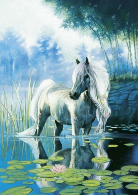 Chevaux - Equitation L'�tang Aux N�nuphars