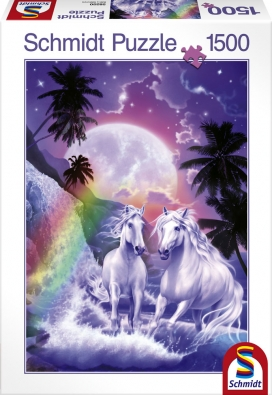 Chevaux - Equitation Nuit Magique