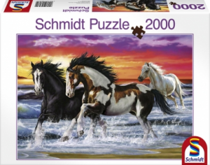 Chevaux - Equitation Au Cr�puscule